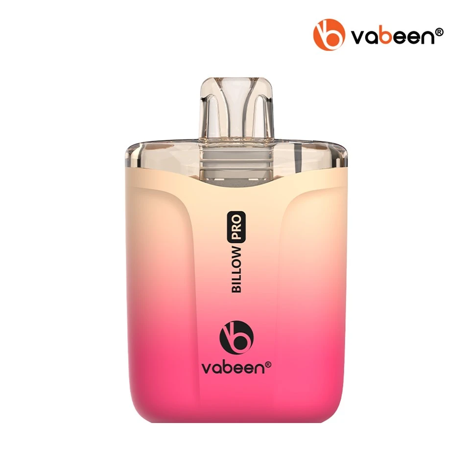 Vabeen Billow 프로 스타일